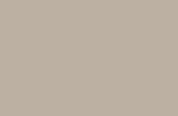 WS-Color-BBB0A1 WS-Color-BBB0A1