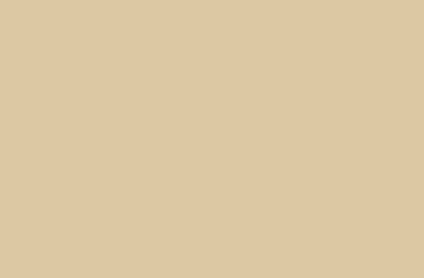 WS-Color-DBC8A2 WS-Color-DBC8A2