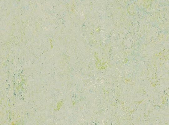 Splash salsa verde Splash salsa verde