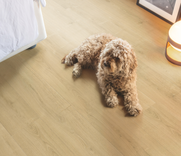 Quick step – laminaat (8)