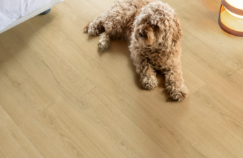 Brushed oak natural