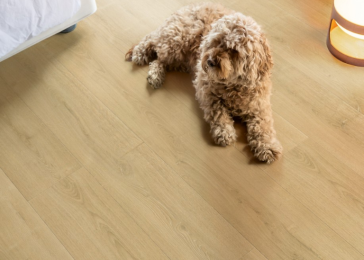 SIG4763_laminaatvloer (1)