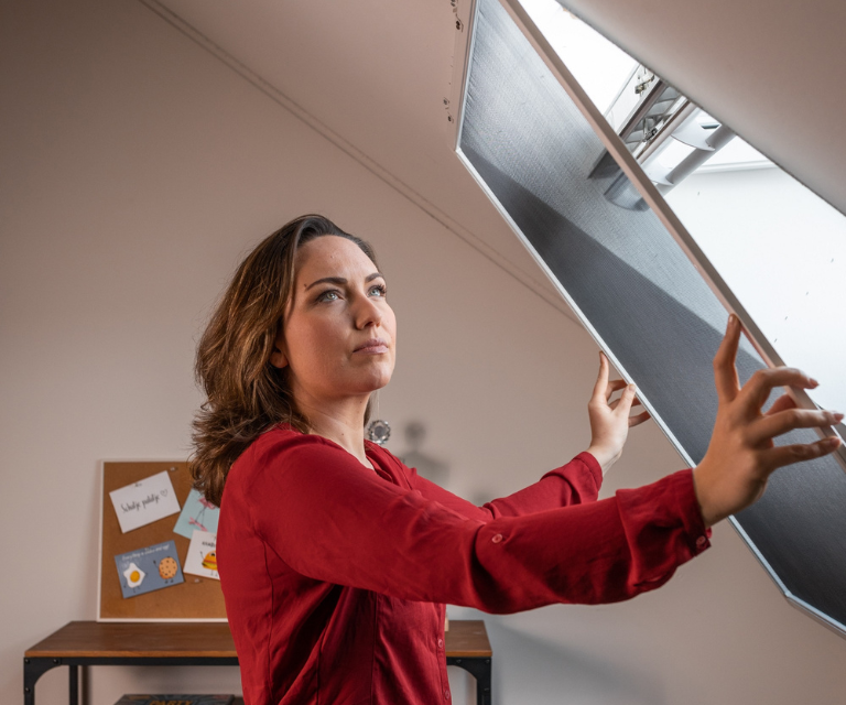 Inzethor met dame in dakraam