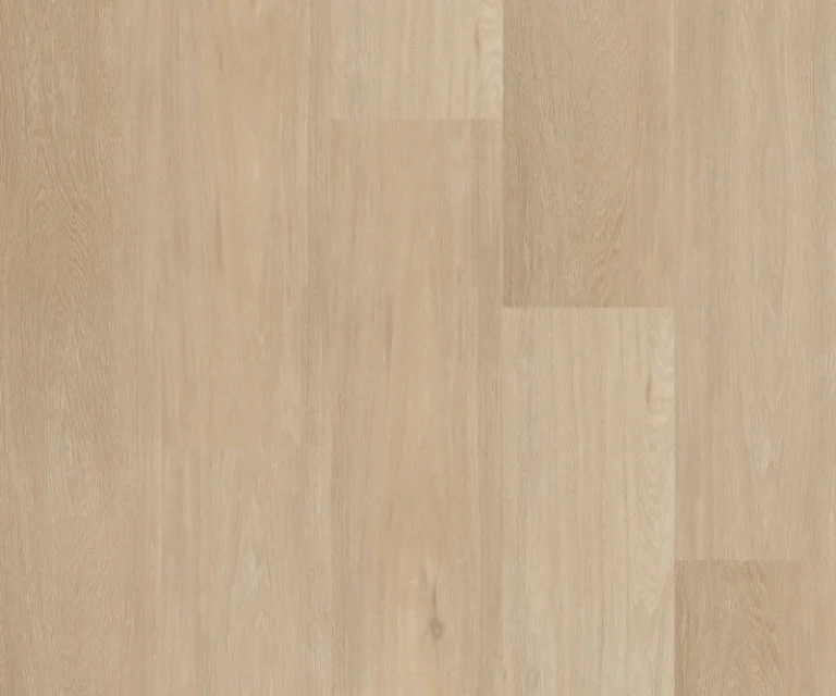 Kapellebos plank uit de WIJS-collectie