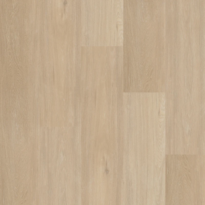 Kapellebos plank uit de WIJS-collectie