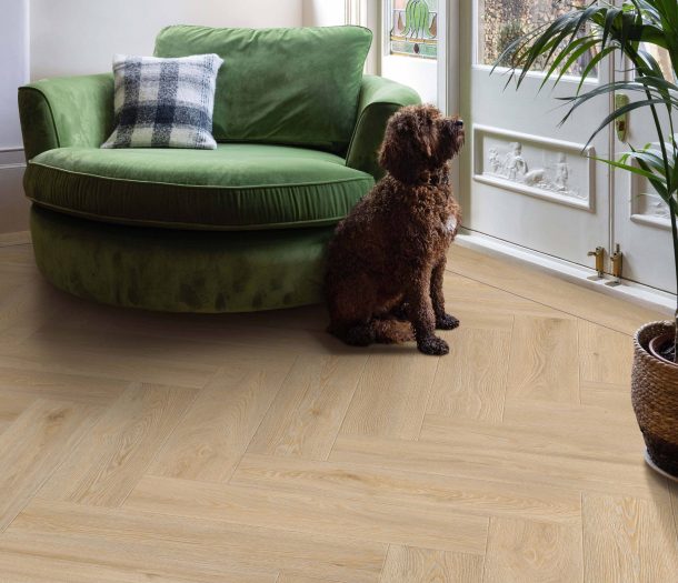 Lichte eiken look pvc-vloer visgraat in zitruimte met hond