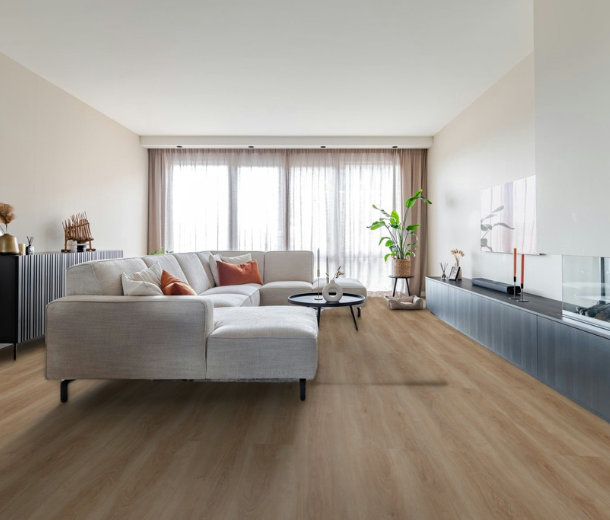 Finantenplank – WIJS collectie (728 x 520 px) Finantenplank – WIJS collectie (728 x 520 px)