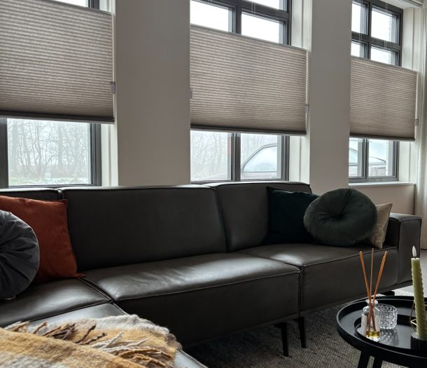 Stijllux Duettes® Easyhand TD/BU, kleur 5h25.77205 in de woonkamer